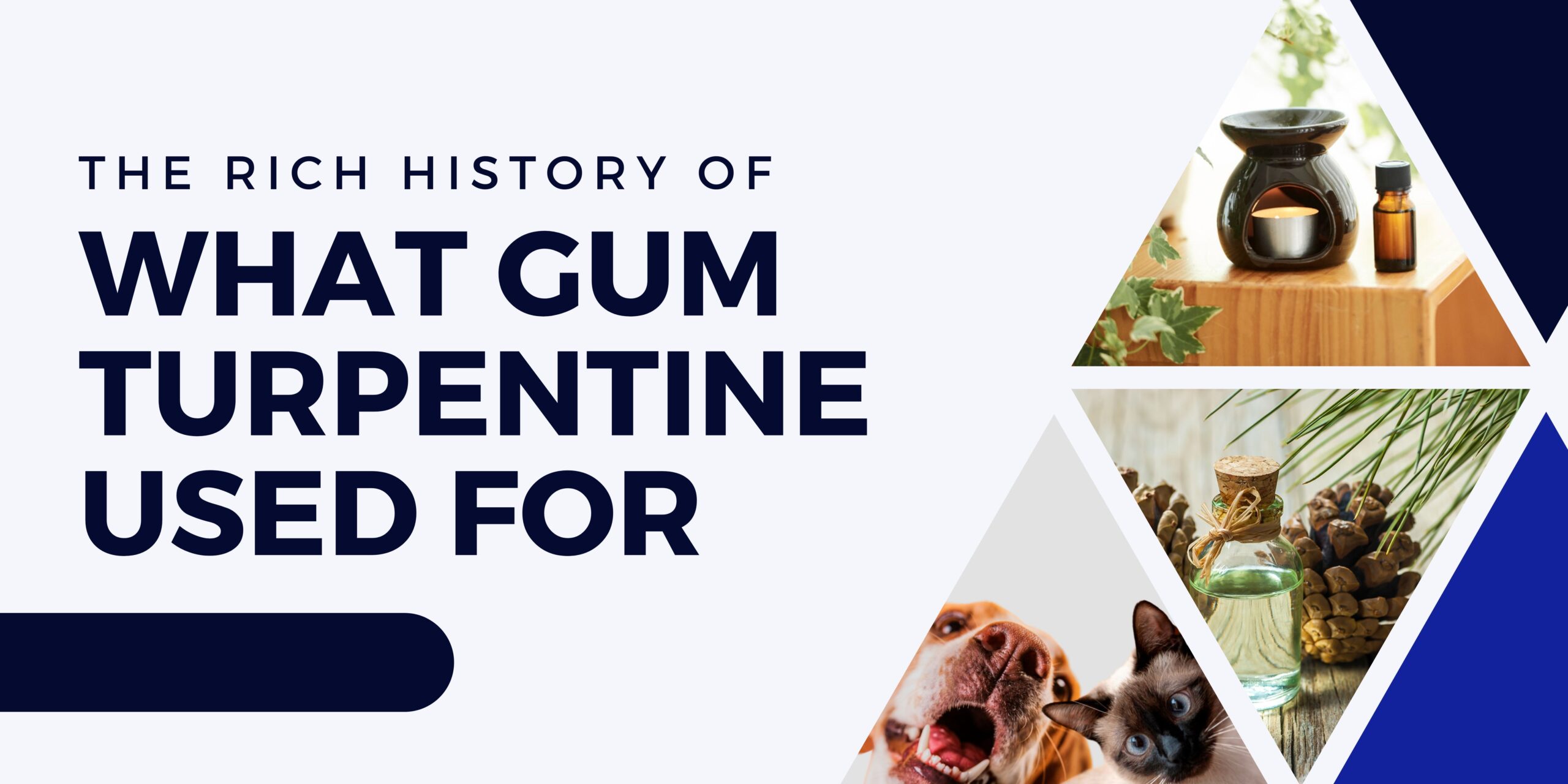 blog img - history of what is gum turpentine used for