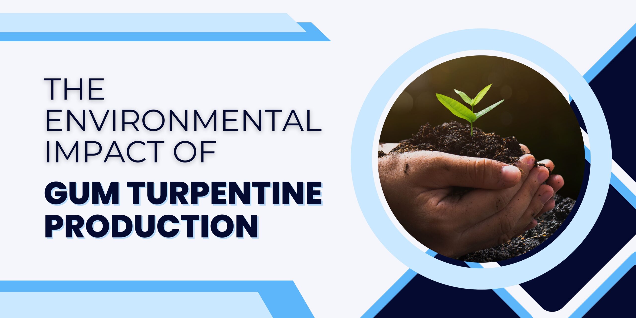 gum turpentine environmental impact - blog banner